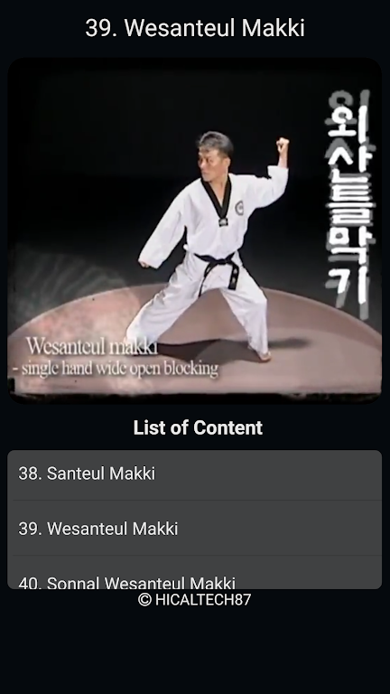Taekwondo Basic Motions Ảnh chụp màn hình 3