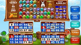 Video Bingo Little Farm Ảnh chụp màn hình 1