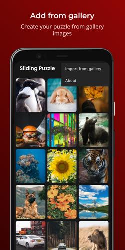 Sliding Puzzle ဖန်သားပြင်ဓာတ်ပုံ 3