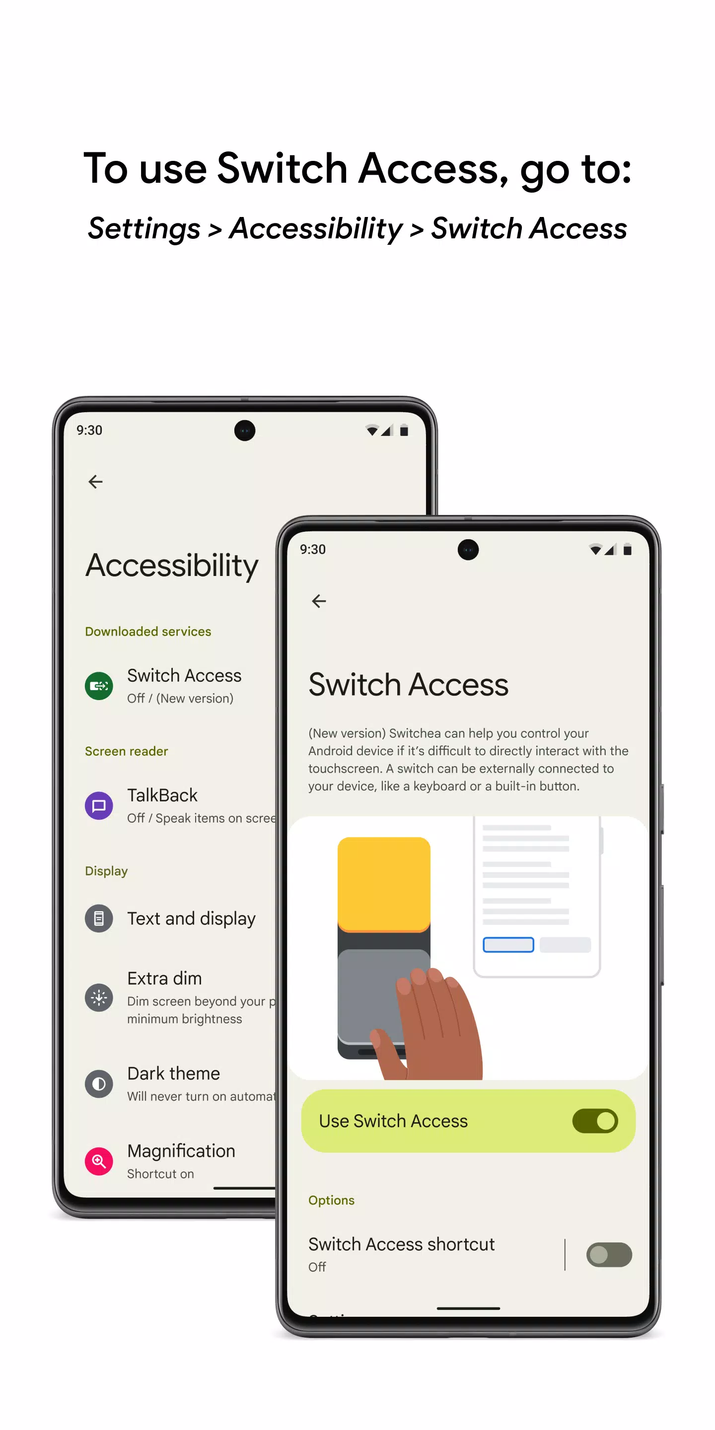 Schermata Switch Access 1