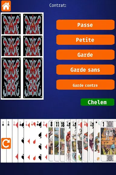 Net.Tarot Ekran Görüntüsü 1