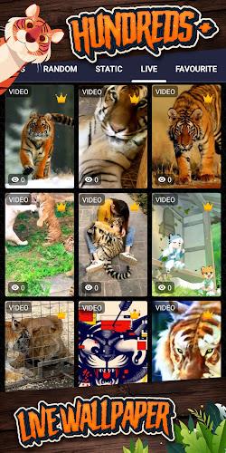 tiger background Screenshot 2