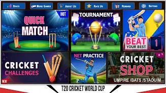 Indian Cricket Championship Screenshot 3