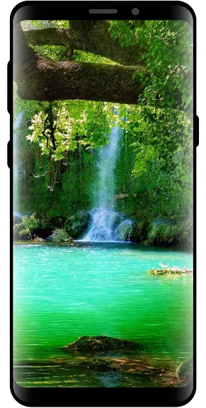 10000 Nature Wallpapers 螢幕截圖 3