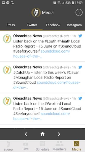 Oireachtas Screenshot 1