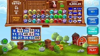 Video Bingo Little Farm Ảnh chụp màn hình 3