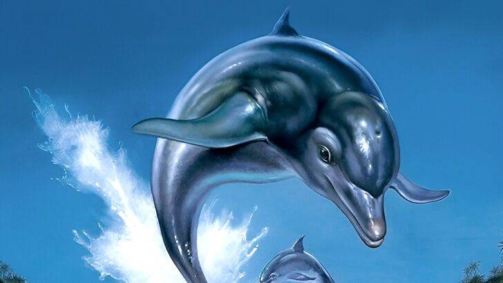 ECCO The Dolphin Trademark Reneal Wskazówki dotyczące przebudzenia serii