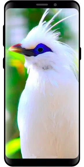 10000 Nature Wallpapers 螢幕截圖 0