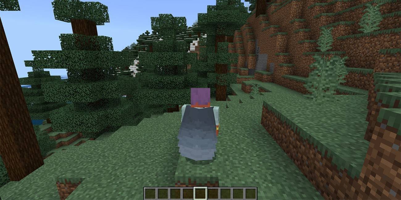 MinecraftのElytra