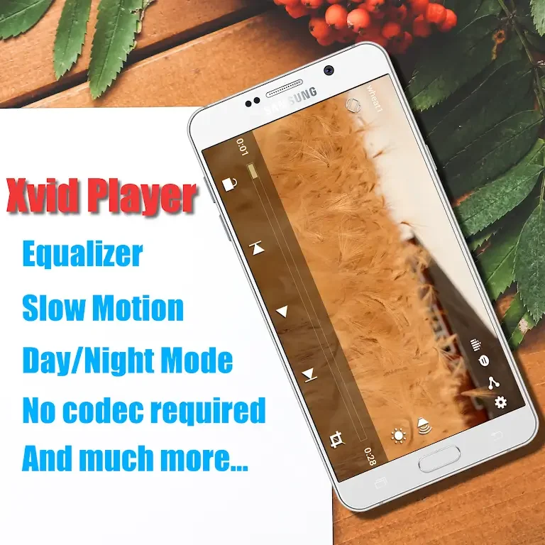 Xvid Video Codec Player Ảnh chụp màn hình 0