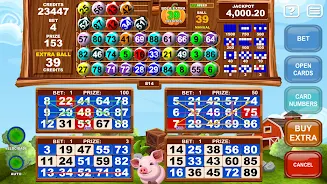 Video Bingo Little Farm Ảnh chụp màn hình 0