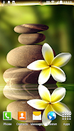 Zen Garden Live Wallpaper স্ক্রিনশট 1