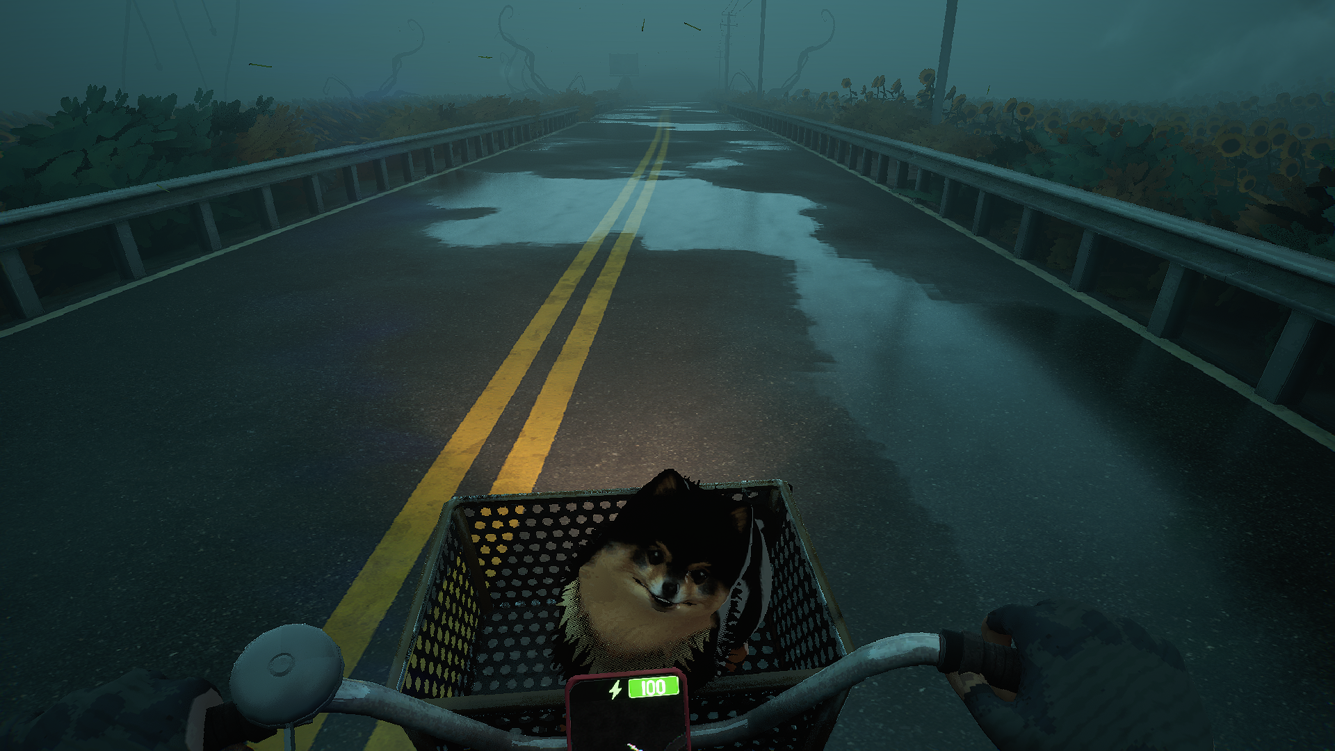 Abbastanza un giro, un gioco Horror di sopravvivenza ambientato su una bici, annunciato per PC