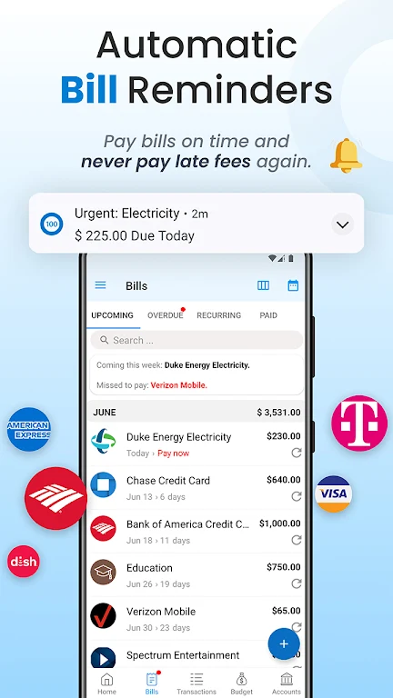 Bill Payment Organizer, Budget Screenshot 2