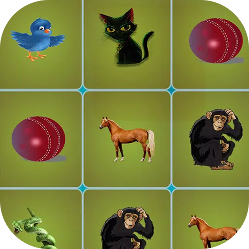 Animal Puzzle Match