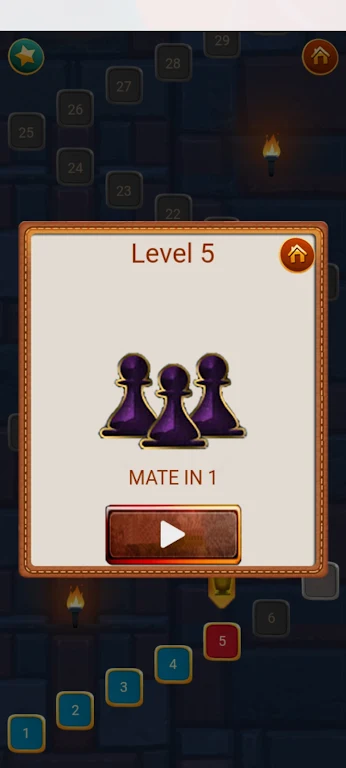 Chess Puzzles - Chess Game Screenshot 2