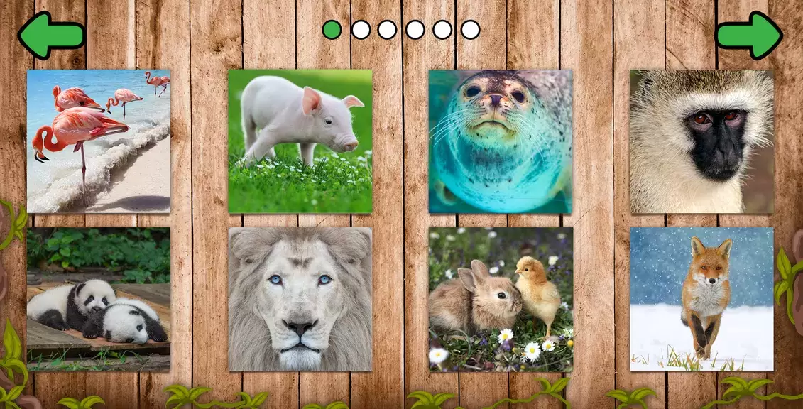 Animal puzzle games offline ဖန်သားပြင်ဓာတ်ပုံ 1