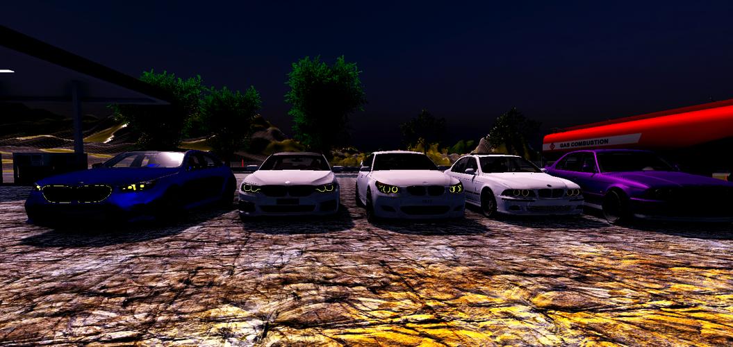 Driving Simulator BMW স্ক্রিনশট 0