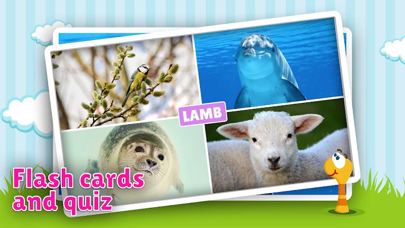 Animal flashcard & sounds Zrzut ekranu 1