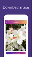 InstaSave Captura de pantalla 1