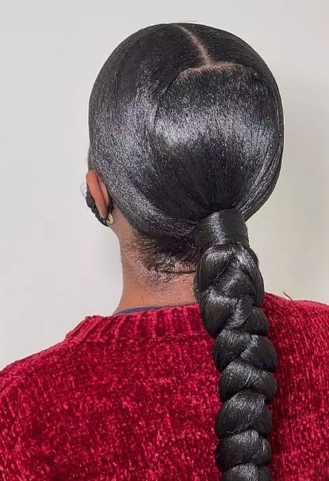 Sleek Braided Ponytail Styles Screenshot 2