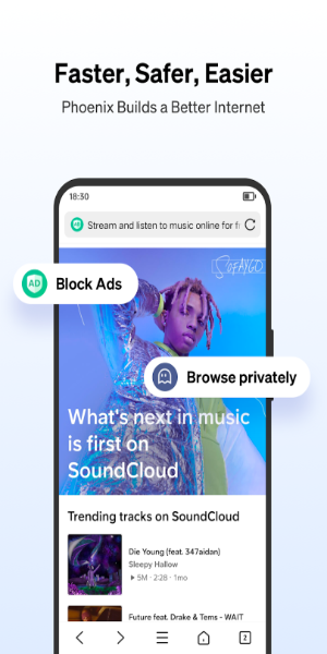 Phoenix Browser-Privé & Rapide Capture d'écran 0