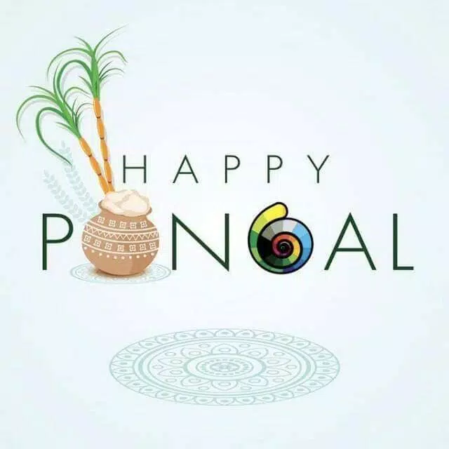 Happy Pongal Wishes Screenshot 0