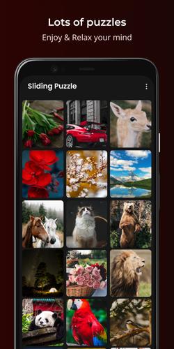 Sliding Puzzle ဖန်သားပြင်ဓာတ်ပုံ 1