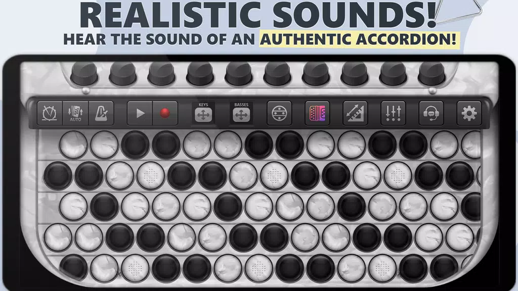 Accordion Chromatic Master Screenshot 0