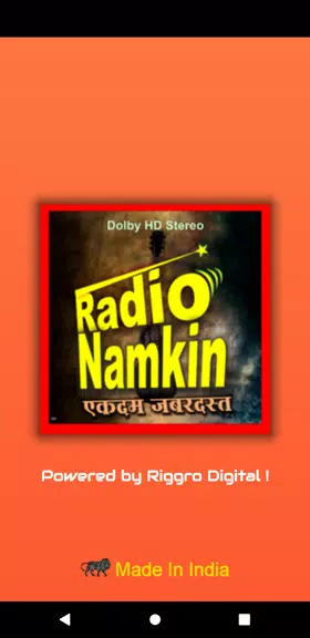 Radio Namkeen- FM Radio Online स्क्रीनशॉट 0