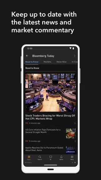 Bloomberg Professional 螢幕截圖 2