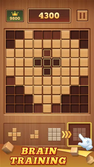 Wood Block 99 - Sudoku Puzzle应用截图第1张