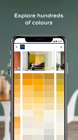 Dulux Visualizer ZA 螢幕截圖 1