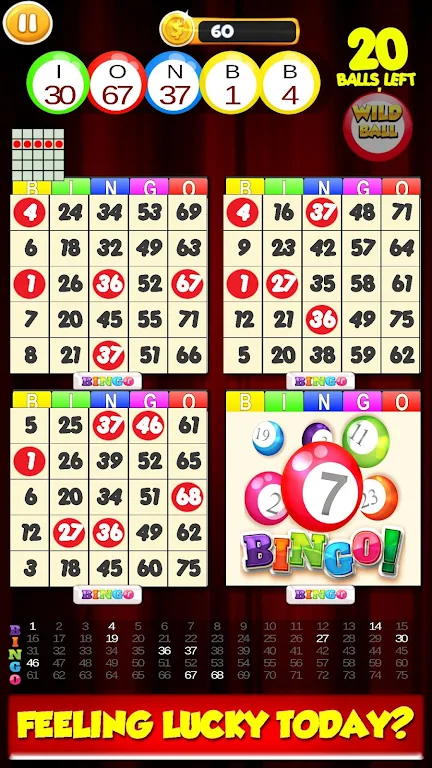 New Bingo Cards Game Free应用截图第0张