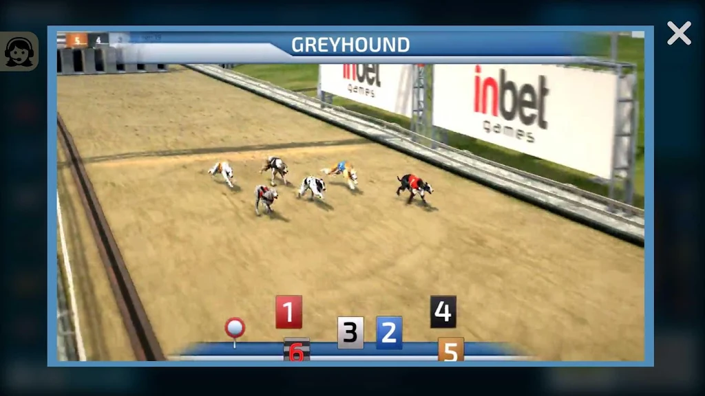 Dogs3D Races Betting 螢幕截圖 2