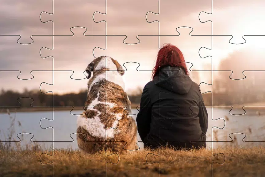 Jigsaw puzzle without internet 螢幕截圖 3