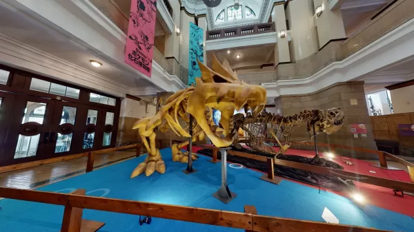 Pokémon化石博物馆明年在美国展示真实和假化石