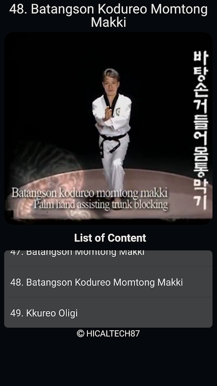 Taekwondo Basic Motions Ảnh chụp màn hình 2