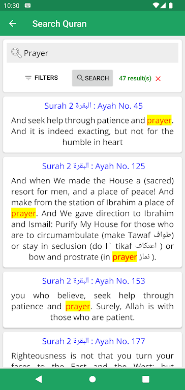 Maarif ul Quran English Screenshot 3