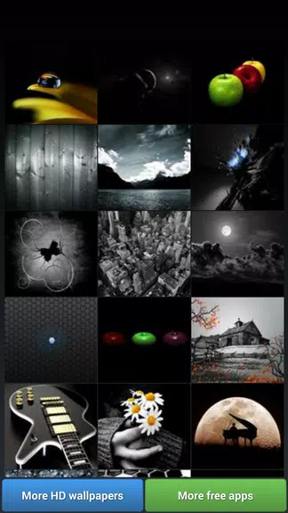 Black Theme HD Wallpapers 스크린샷 1