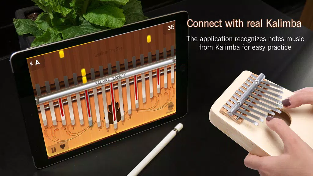 Kalimba Connect 螢幕截圖 0