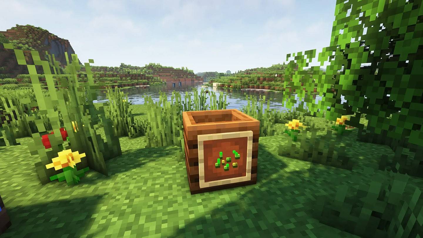 องค์ประกอบใน Minecraft: การตั้งค่าและการใช้งาน