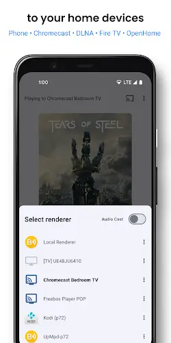 BubbleUPnP For DLNA/Chromecast Ekran Görüntüsü 1