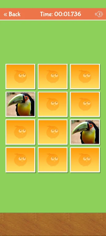 Birds Memory Match Game Скриншот 0