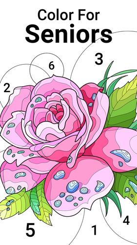 Silver Color 螢幕截圖 0