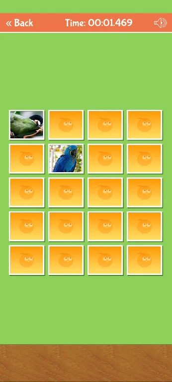 Birds Memory Match Game Скриншот 2