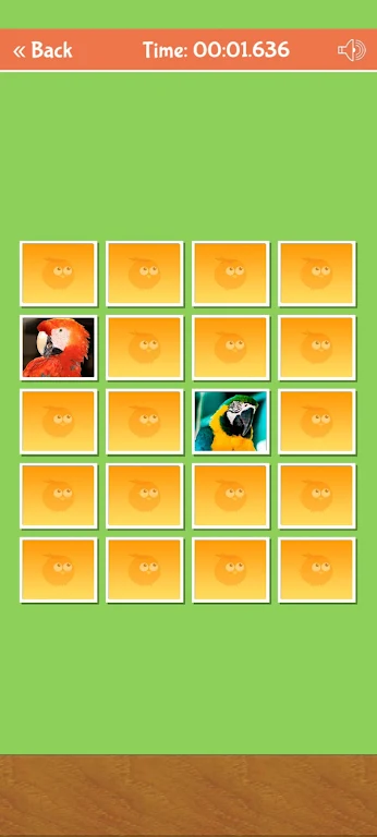 Birds Memory Match Game Скриншот 3