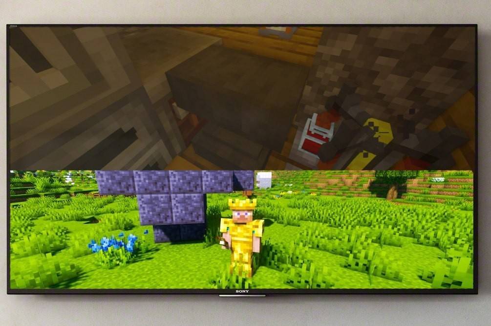 Splitscreen on Minecraft