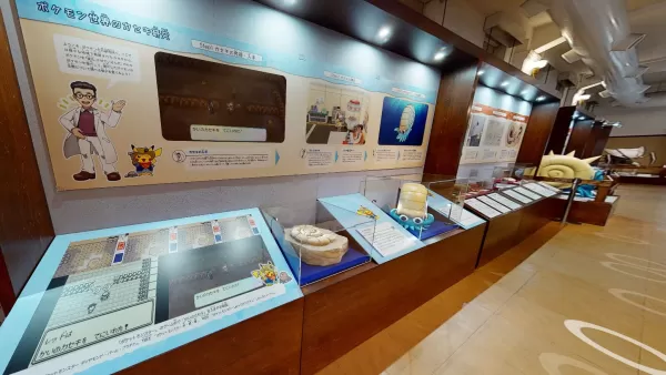 Pokémon Fossil Museum Virtual Tour Image 4