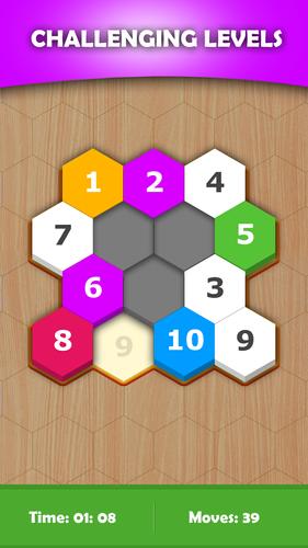 Hexa Sort Puzzle Ảnh chụp màn hình 1